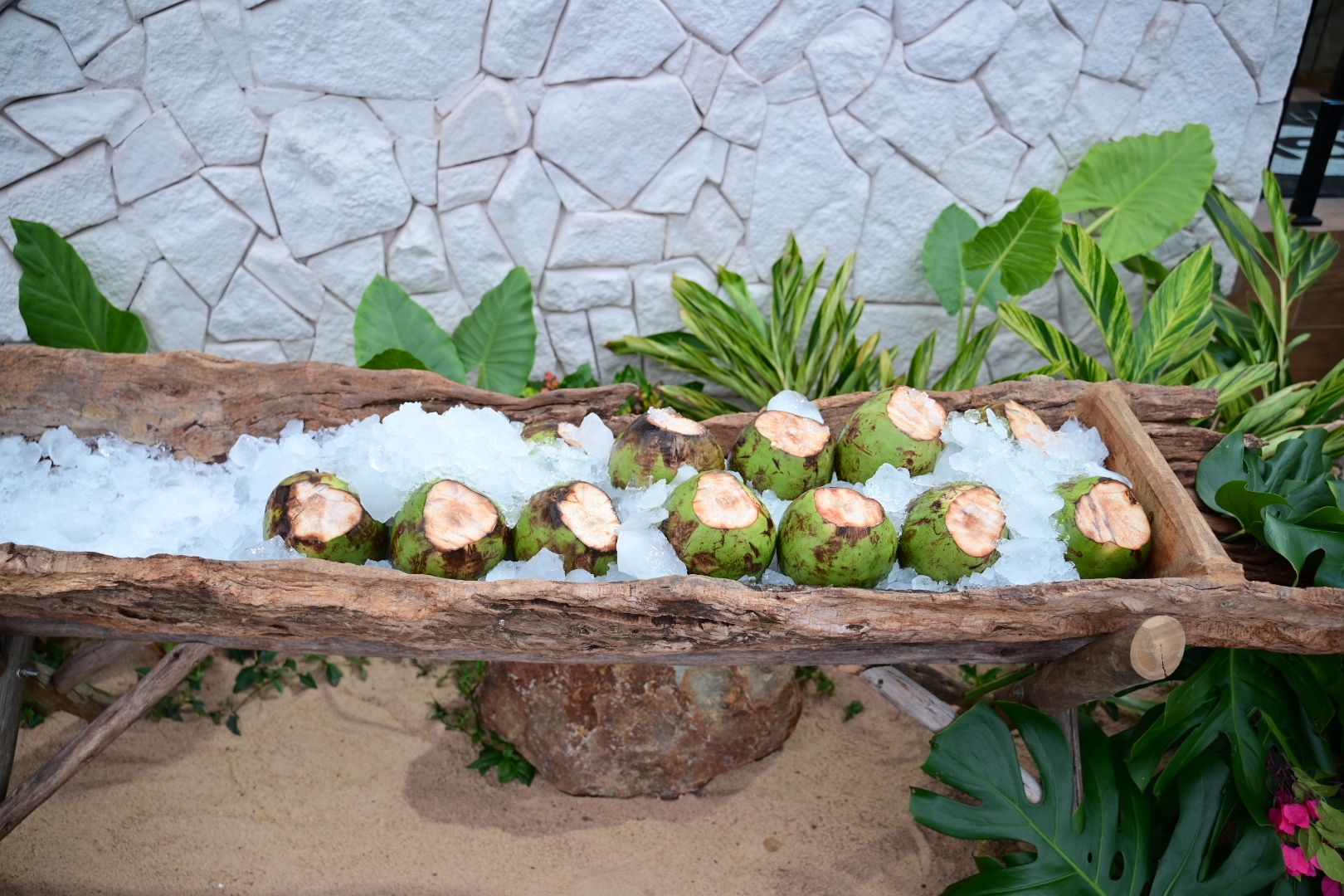 Área de lazer completa